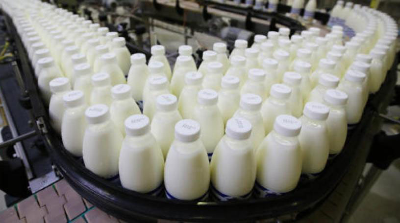 Convocan a pymes lácteas a presentar propuestas para mejorar su desarrollo y eficiencia