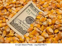 Volatilidad climática: el maíz subió más de US$ 12 en Chicago y contagió a Rosario