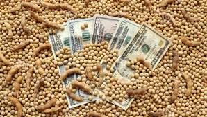La soja extiende las subas en Chicago y ya supera los US$ 635