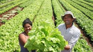 Un proyecto financiado por el FIDA ayudará a los pequeños agricultores a hacer la transición hacia la agroecología en Argentina