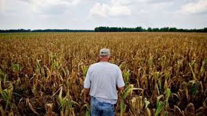 Más del 60% de los empresarios del agro espera que la situación económica del país empeore en el próximo año