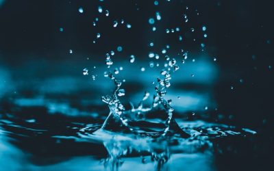 El valor del agua marcará su día mundial en 2021