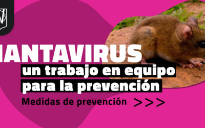 Hantavirus: un trabajo en equipo para la prevención