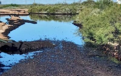 Catástrofe Ambiental en Río Negro