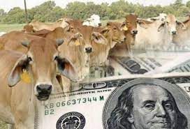 Mercado internacional bovino: Los valores registrados en 2021 marcarían un techo para 2022