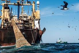 Pesca ilegal, economía y política