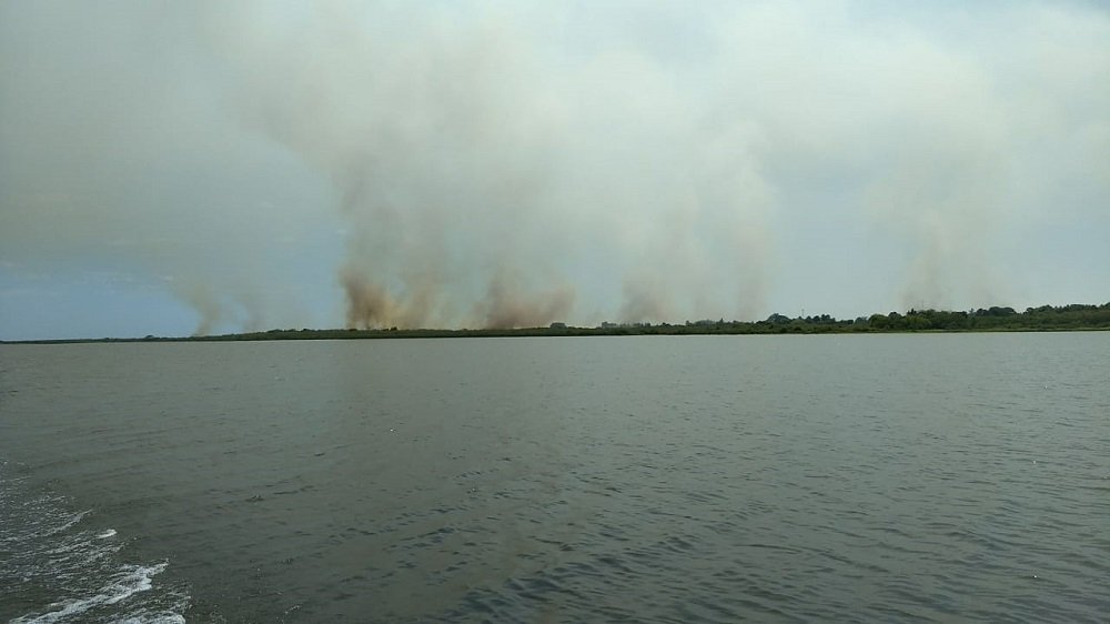 Un incendio afectó 600 hectáreas en los Esteros del Iberá, Corrientes