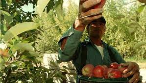 Aumento salarial para los trabajadores frutícolas del Alto Valle de más de 53 %
