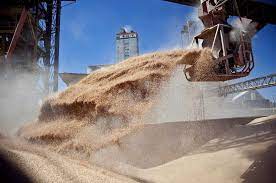 Actualización del Registro de Exportadores de granos de maíz, sorgo, soja y cebada a China