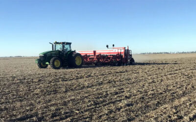Situación compleja en Argentina: mientras la falta de gasoil perjudica la cosecha y el transporte del maíz, el clima afecta la siembra del trigo