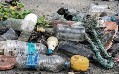 Plásticos: por qué no todos son reciclables y cuál es el daño irreversible que generan