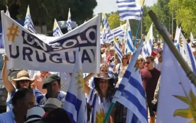 Uruguay: productores autoconvocados están cerca de lanzar un partido político