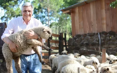 ¿Corderos en Misiones? La historia del productor que abastece a su propio restaurante y solo prepara platos con carne ovina