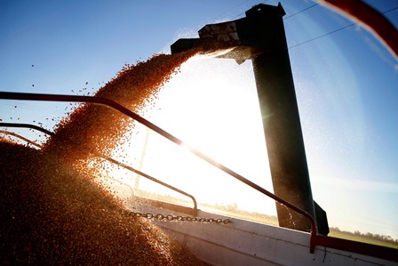 Ministros de agricultura del G20 se reunirán para impulsar la producción sostenible de alimentos