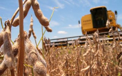 La soja supera los US$ 600 la tonelada en Chicago por primera vez desde 2012