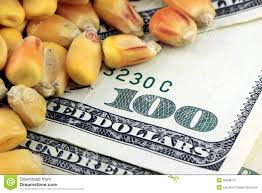 Cuánto se pagó por la soja, el maíz y el trigo en el mercado de Rosario