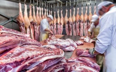 Semana de la carne porcina: su consumo es una opción beneficiosa para la salud