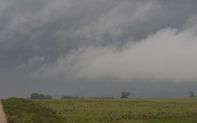 Prevén precipitaciones escasas a moderadas, acompañadas de irrupción de aire polar, en el área agrícola