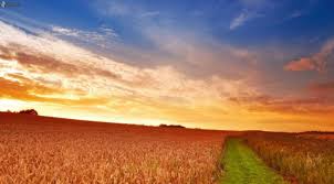 Prevén marcado incremento de la temperatura, con lluvias sobre el centro-este del área agrícola