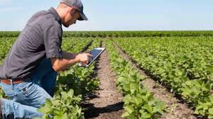 El Censo Agropecuario confirmó que desde 2002 se extinguió un productor agropecuario cada dos horas