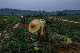 El FIDA insta a los Gobiernos de la región de Asia y el Pacífico a invertir en los jóvenes de las zonas rurales