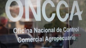 Tiempo de descuento para oficializar el informe final sobre irregularidades en el pago de compensaciones de la ex Oncca