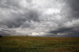  Prevén moderado ascenso térmico con lluvias abundantes sobre el este del área agrícola