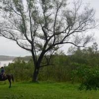 Formalizan la medición de Gases Efecto Invernadero (GEIs) del Agro y Bosques