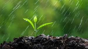 Prevén lluvias sobre el sudeste y el centro-este del área agrícola