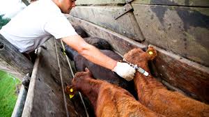 La aftosa, los problemas ambientales y arancelarios marcaron el ritmo del encuentro de la FARM