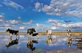 Elevadas temperaturas acompañadas por precipitaciones en gran parte del área agrícola, luego fuerte descenso térmico.