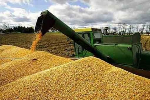 La producción agrícola 2019-2020 llegaría a las 138,4 millones  de toneladas