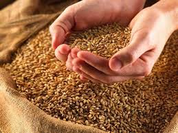 Los cereales de la campaña 2021/22 animaron la rueda local