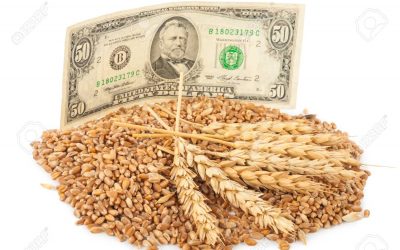 Del trigo nuevo sólo se anotaron 235.000 toneladas y los precios a cosecha ya cayeron US$ 70/t desde principios de año