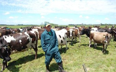 “La sequía nos está golpeando fuerte”: la carta de la cadena láctea a la sociedad argentina