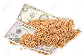 El trigo aportaría US$ 2.240 millones por exportaciones en la nueva campaña