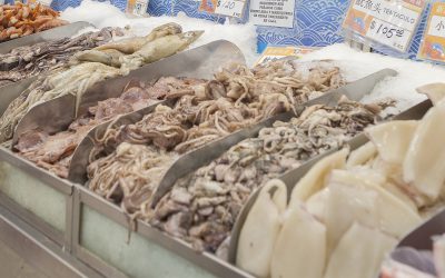 La Aduana denunció a pesqueras que triangularon millonarias exportaciones para no liquidar los dólares en el país
