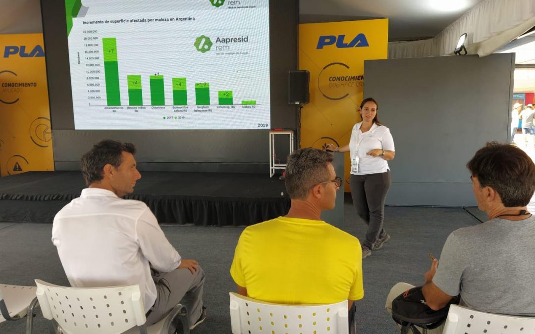 Aplicaciones selectivas como aliadas de la Agricultura Siempre Verde