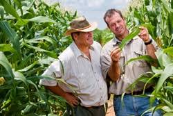 Profesionales del agro pueden obtener el certificado para  circular en Consejo Profesional