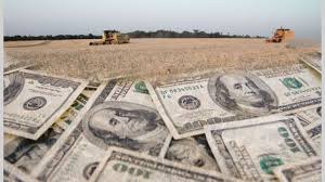 La soja trepó más de US$ 14 por los malos rindes de la cosecha en Sudamérica