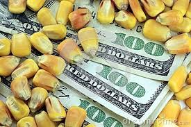 Las ventas externas de maíz nuevo, en su nivel más alto de la historia