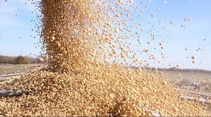 ¿Cuánto le resta exportar al agro en 2025?