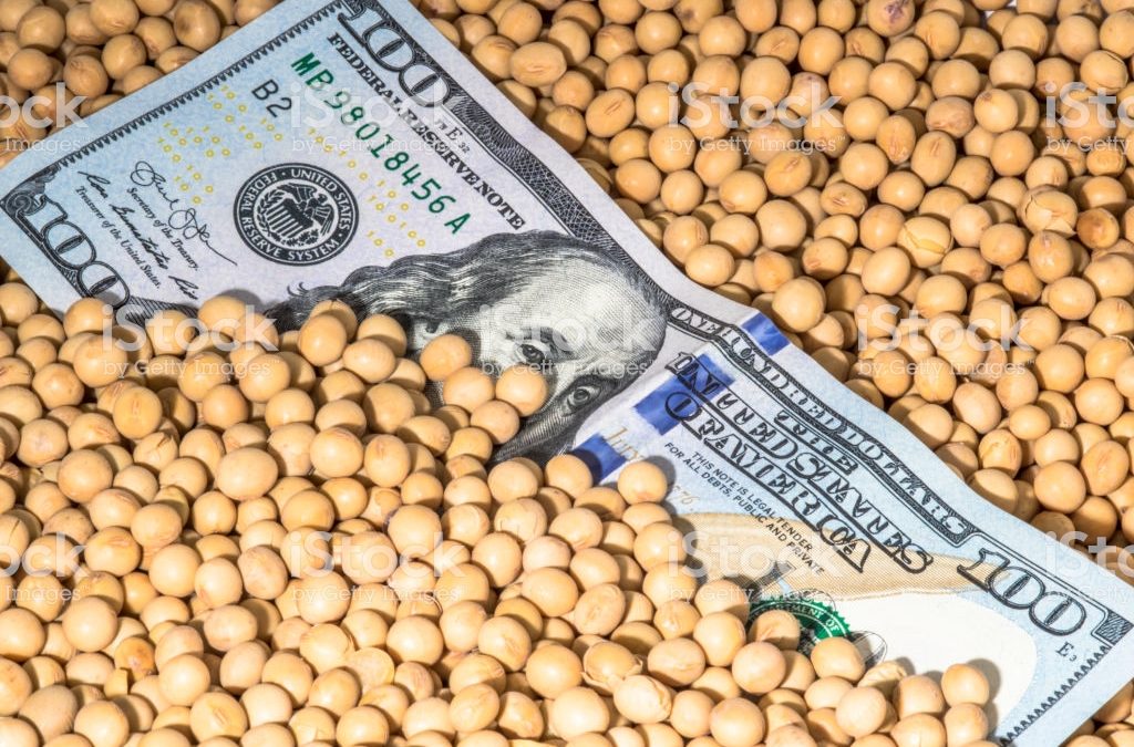 Ni el dólar soja, ni la baja de producción hacen reaccionar a la soja local