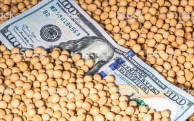 Llega a su fin el quinto Programa de Incremento Exportador: 4,5 Mt de soja y casi 1 Mt de ventas al exterior