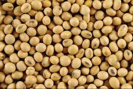 Soja, trigo y maíz: importantes subas y fuerte expectativa para el informe mensual del USDA