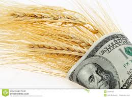 ¿Qué mercados de trigo pueden expandirse para Argentina en la campaña entrante?