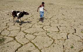 Científicos de todo el mundo debaten y alertan sobre el cambio climático