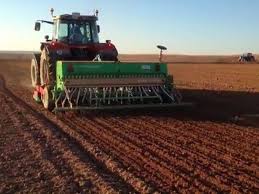 A pesar de la sequía que atravesó al ciclo del trigo, la proyección de producción asciende a 19,8 millones de toneladas
