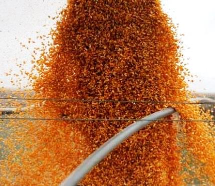 La liquidación de divisas del agro alcanza un récord histórico en el primer semestre del año