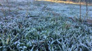 Vigorosa entrada de aire polar, seguida por el aumento de temperatura y precipitaciones escasas